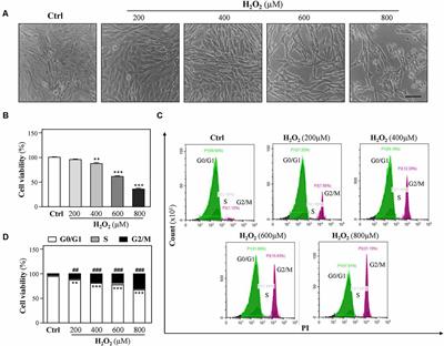 Nicotine Prevents Oxidative Stress-Induced Hippocampal Neuronal Injury Through α7-nAChR/Erk1/2 Signaling Pathway